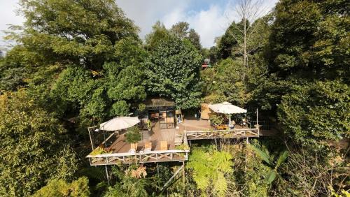 Sa Pa House | Sapa Jungle Homestay