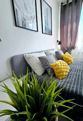 Anyksciai Apartment | Saulė