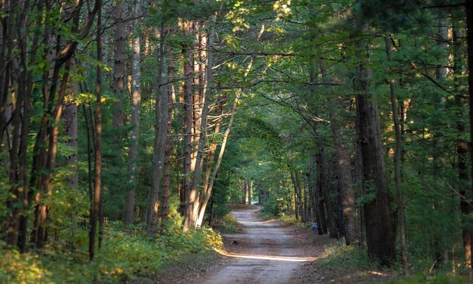 Muskegon Cabin | Scenic Drive Resort - Cabin #6