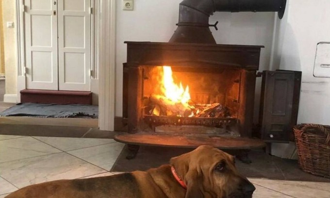 Trendelburg Apartment | Schöne Wohnung in Hessen mit Ruhebereich