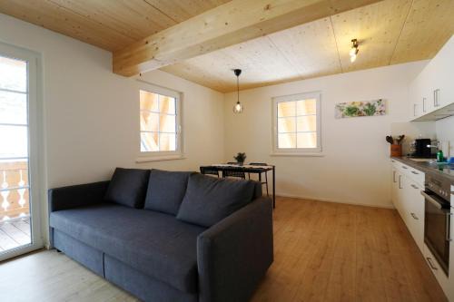 Menzenschwand-Hinterdorf Apartment | Schwarzwaldhaus - Fewo Schwarzwaldtanne, St Blasien - Menzenschwand