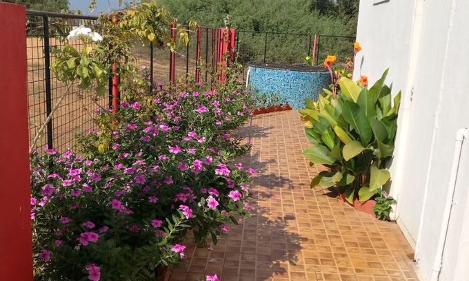 Candolim House | Sea Pearl Guest house