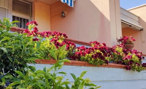 Villa Rosa Apartment | Sea View Apartment Villarosa