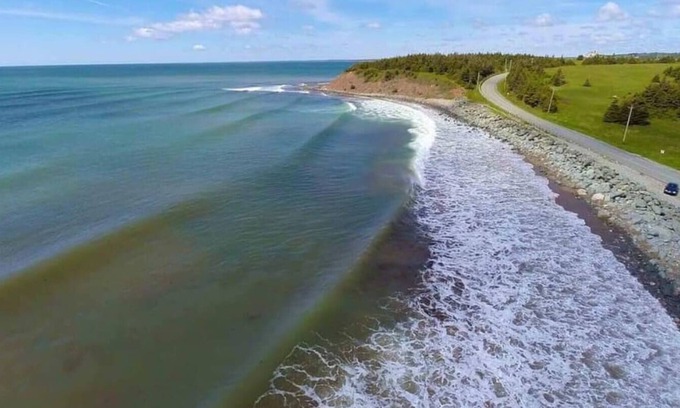 Seaforth Other | Seabreeze Farm House- 5 minute walk to the beach!