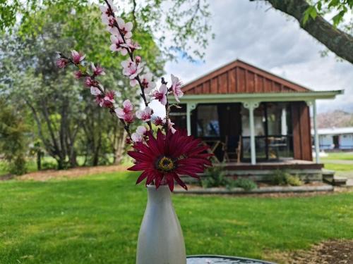 Whenuakite Resort | Seabreeze Holiday Park