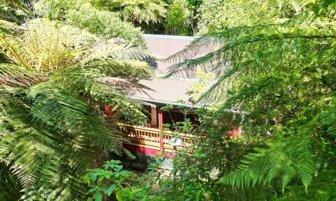 Rotorua Cabin | Secluded forest Retreat, Paradise Valley, Rotorua.