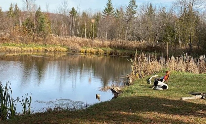 Scugog Cottage | Secluded Pet Friendly House With Pond and Forest Trails in Uxbridge
