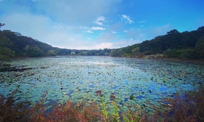 Vineyard Haven House | Secluded West Tisbury Retreat. Surrounded by Acres of Conservation Trails.