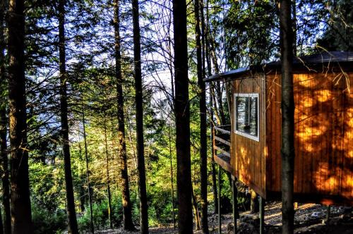 Canicada Cabin | Secret do Gerês