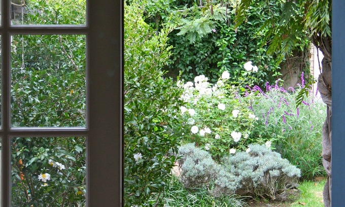 Oak Park House | Secret Garden Hideaway-3 bd/4bth, beautiful yard, walk to town. Pet friendly, AC