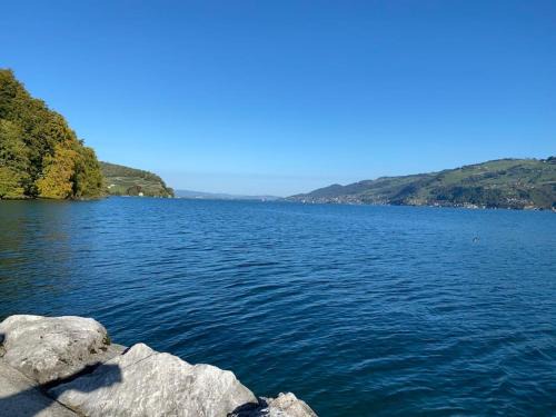 Faulensee Apartment | See und Berge Cozy