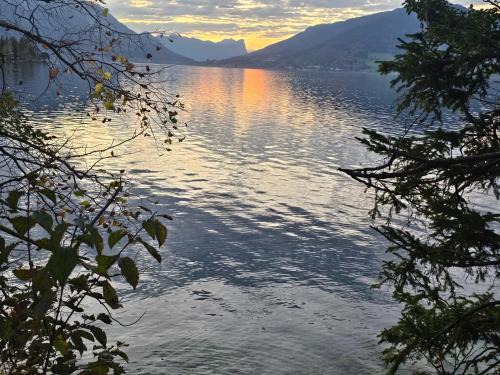 Steinbach am Attersee Apartment | Seeparadies