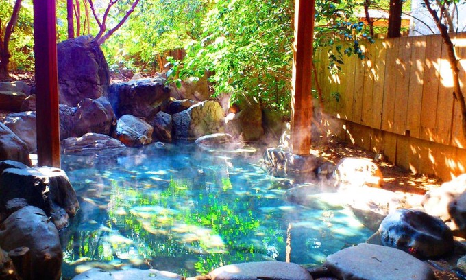 Okutsu Onsen Hotel | Seiryuso