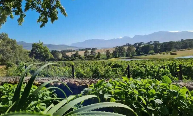 Klapmuts Cottage | Self catering accomadation in the winelands. Mon Rêve Estate - Cottage 3