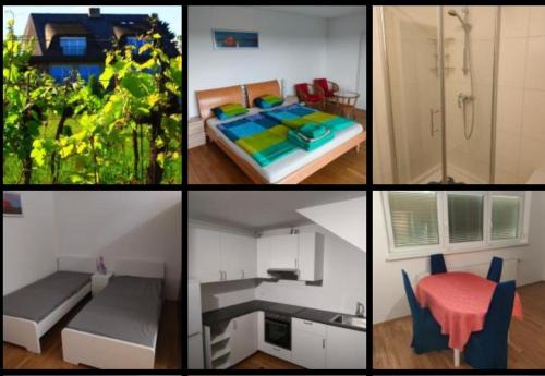 Breitenbrunn Apartment | Self Check-in Self Catering Familien Apartment mit Seeblick und Klimaanlage - Neusiedlersee