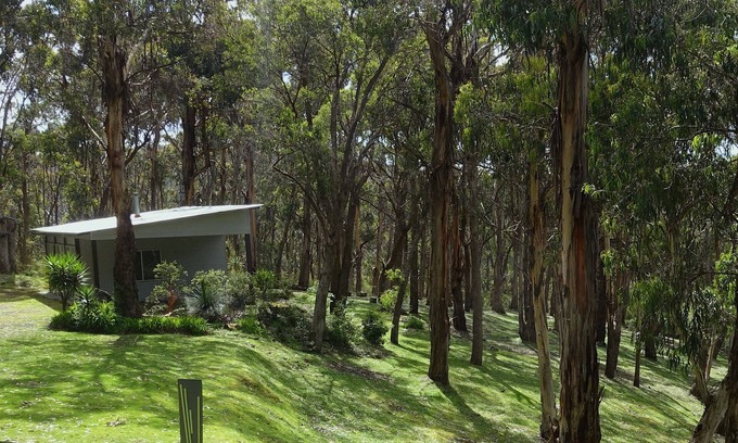 Lorne Cabin | Self-contained 1br unit on 11 acres of beautiful natural bush with ocean views.