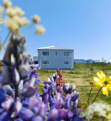 Borgarnes Bed & Breakfast | Selið Farm Stay - Guesthouse