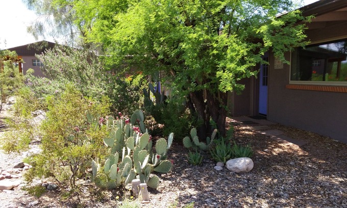 Tucson House | Serene and Charming, Private, Immaculate, Central, 2/1.5 Back yard and Pool