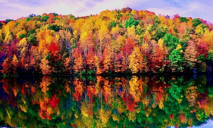 Sparrow Bush Cottage | Serene lakeside oasis - fast WiFi 1.5 hrs from NYC, fire-pit & nature all around