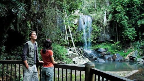 Eagle Heights Apartment | Serene Mountain Cabin Retreat Tamborine Mountain