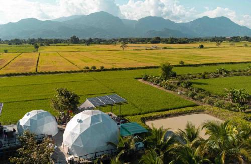 Huai Khrai Other | Serenity and Delight Glamping Dome