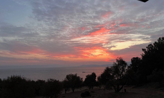Mytilene Cabin | Serenity Lodge, an eco olive groove facing the Sea surrounded by pine forest