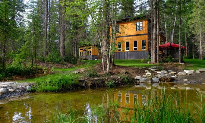 Golden House | Shady forest Base camp! 2 homes, a chalet and a cabin, sleeps 8!