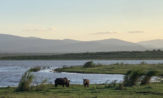 UPhongolo Cabin | Shayamoya Tiger Fishing and Game Lodge