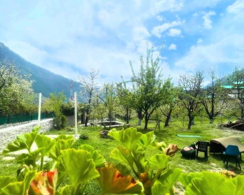 Old Manali House | Shehjaar