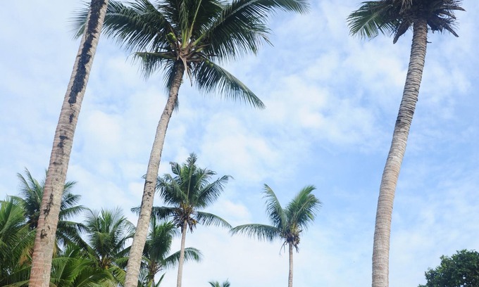 Koror Apartment | shell villa apartel resort
