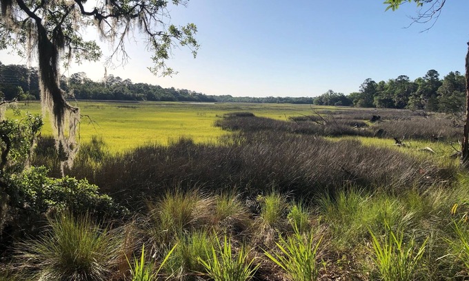 Valona House | Shellman Bluff GA & Harris Neck 0.5mi. Bird Nest Your perfect Nest & Marsh View