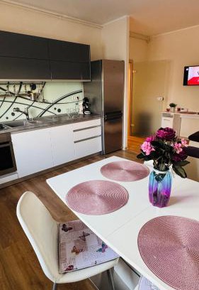 Dumbravita Apartment | SHoliday Ground Floor Apartment & Privat Parking !