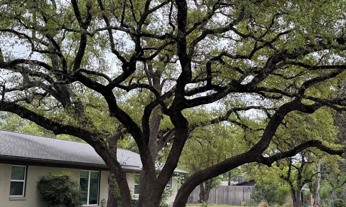 Austin House | SHORT OR LONG TERM, CORPORATE OR VACATION RENTAL WEST AUSTIN GREAT LOCATION