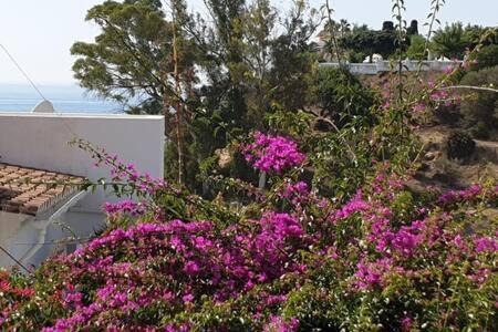 Nerja Apartment | SHR049 Perlamar