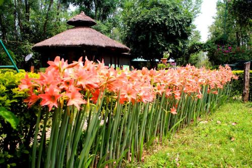 Bhimdatta Resort | Shuklaphanta Jungle Cottage