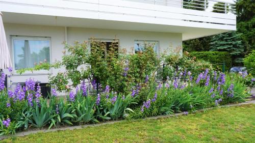 Meersburg Apartment | Silvaner-Laube Silvanerlaube B