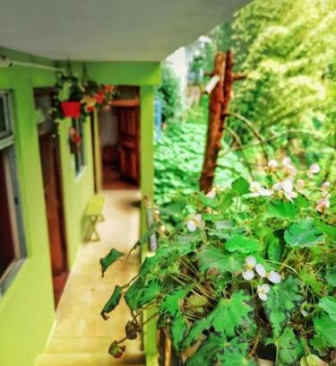 Darjeeling House | Silver Sun Official