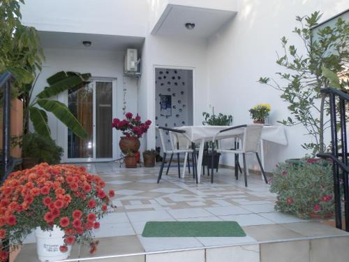 Platanes Apartment | Silvi Mari Apartments