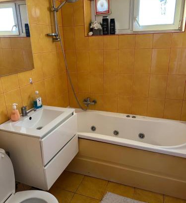 Targu Trotus Apartment | Silviu House