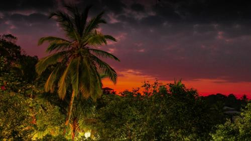 Nalagasdeniya House | Simon's Lodge Hikkaduwa