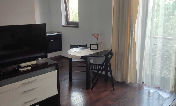 Iasi Apartment | Simply Stunning and Elegant Studio in the hart of city