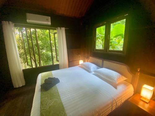 Lamai Apartment | Singing Frogs Jungle Bungalow