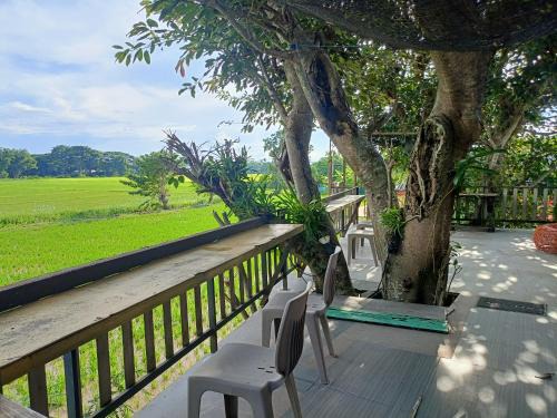 Chiang Rai Hotel | Six Nature Resort
