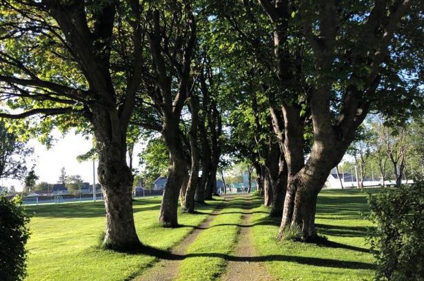 Orland Villa | Sjarmerende hus med veldig stort uteareal.