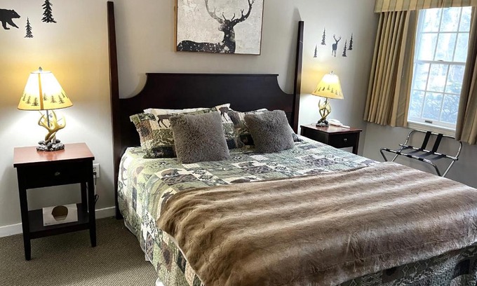 Hancock Apartment | Ski On Off 1BR Suite 1st Flr Sleeps 4 Jiminy Peak