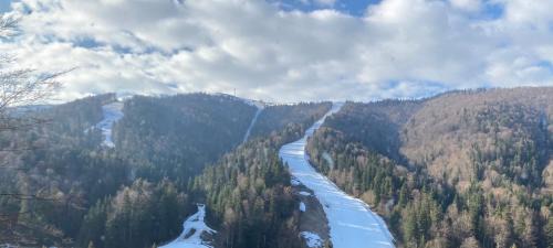 Azuga Apartment | Ski View Studio - near the ski slopes