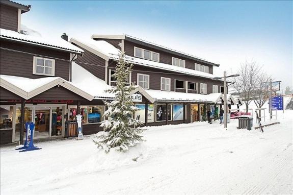 Trysil Apartment | Skitorget Apartments