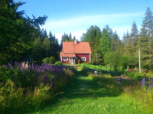 Orsa Bed & Breakfast | Skogslyckan