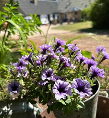 Lokken House | Skovbrynet 2 The place for you