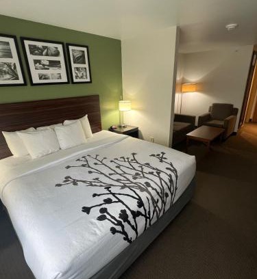 Eau Claire Hotel | Sleep Inn & Suites Conference Center Eau Claire North